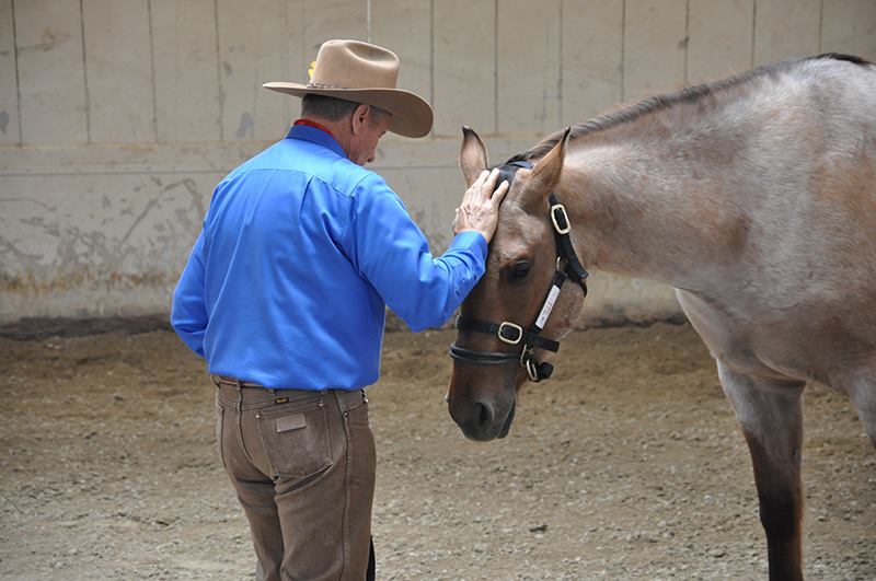 Monty Roberts Explains Join-Up With A Horse